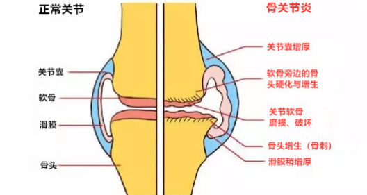 图片28