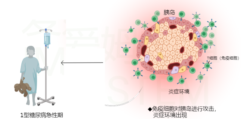 图片29
