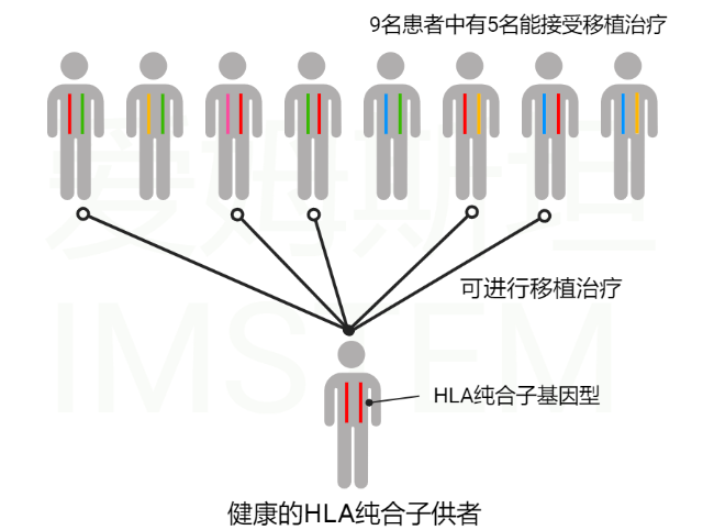 图片34